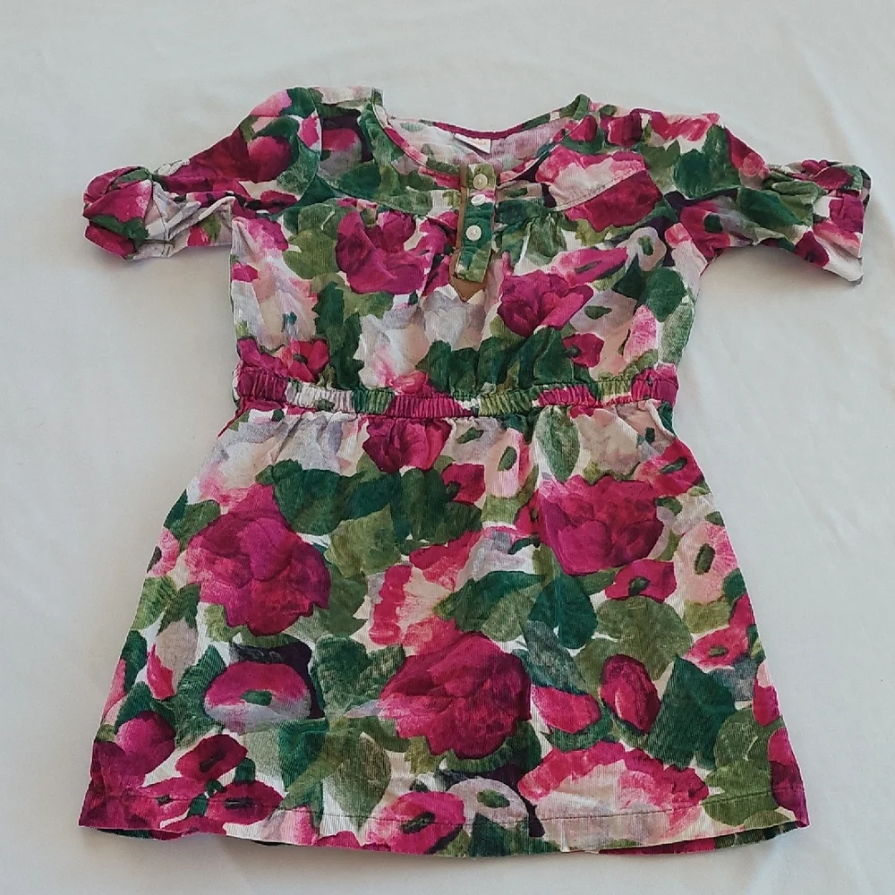 Gymboree Corduroy Floral Dress with Pink and Green Size 5